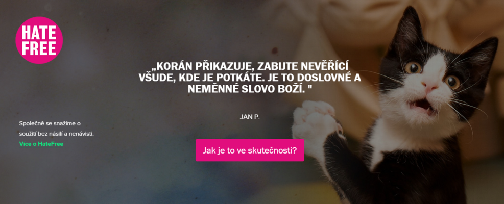 Iniciativa HateFree Culture, které se u nás podařilo udělat z trollingu instituci, operuje s trollingem jako s vhodnou metodou, jak se vypořádat s nenávistí na sociálních sítích. Foto repro hatefree.cz