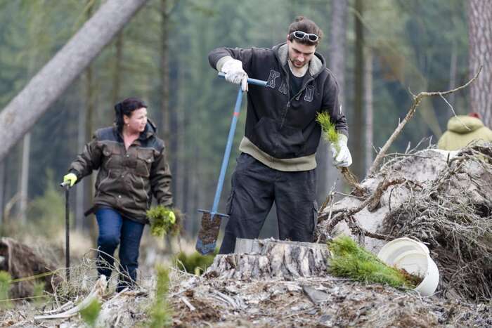 Práce v lese není vyhledávaná, může být pěkná, a přestože nevyžaduje žádnou zvláštní kvalifikaci, některým věcem je nutné rozumět. Foto Česká televize