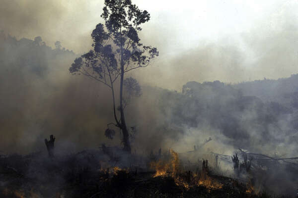 Vzácná místa jako deštné lesy Madagaskaru a Brazílie zanikají pod kopyty rozpínajícího se dobytka. Foto Conservation International