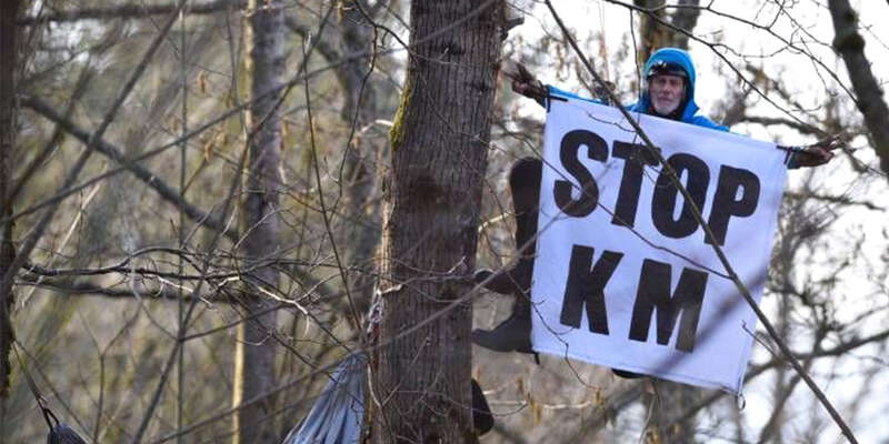 Fotografové protestů zachytili i sedmdesátiletého hudebníka Terryho Christensona zavěšeného na jednom ze stromů. Foto Rising Tide North America, Twitter