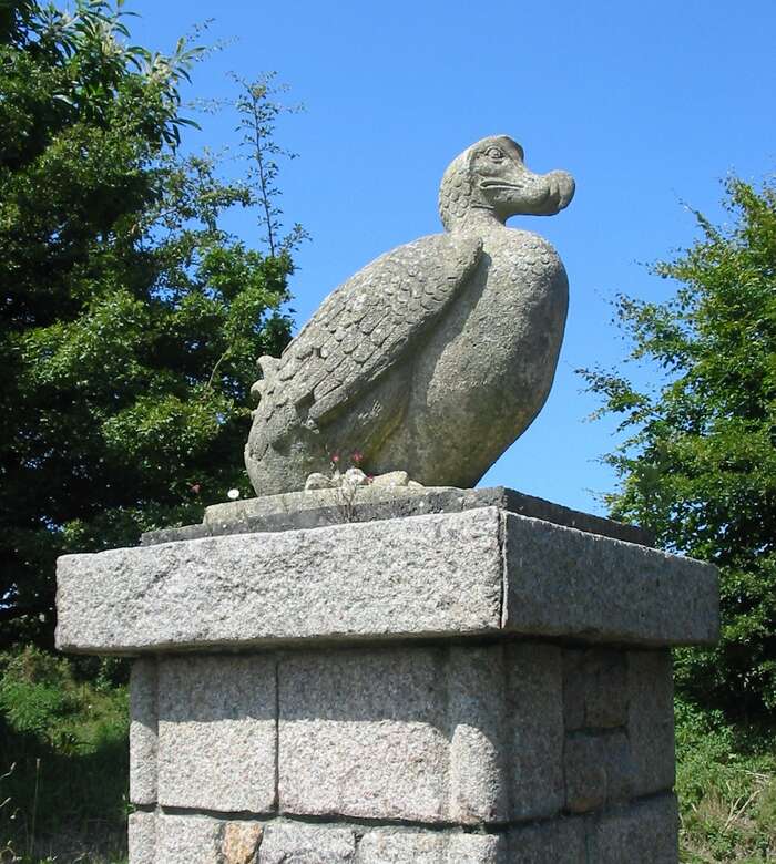 Socha doda v Durrellově zoo. Foto WmC Ilustrace v prvním vydání Alenky v říši divů. Kresba John Tenniel