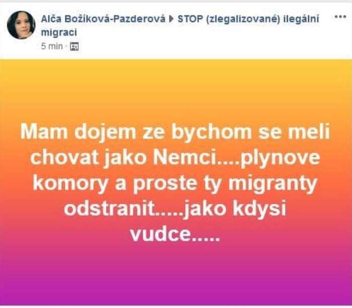 Takovéto komentáře nejsou výjimkou nejen v uzavřených skupinách. Repro DR