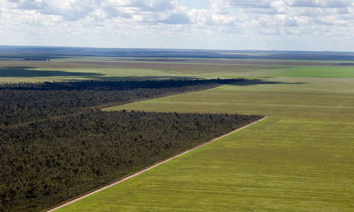 Pastviny jsou jen mezistupněm k intenzivnímu zemědělství. Foto Adriano Gambarini, WWF