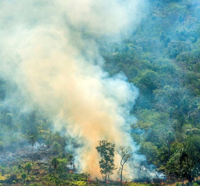 Hořící plíce planety dnes oxid uhličitý nezachytávají, ale masivně vypouštějí do atmosféry. Foto Rainforest Alliance