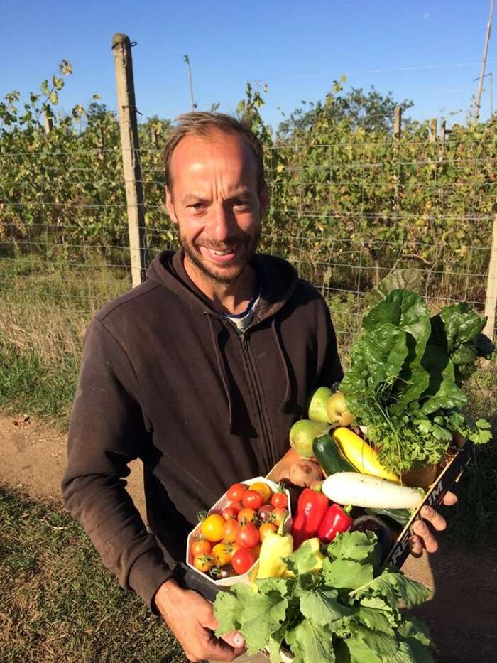 Posyp hnojivem se naštěstí netýká pozemků se zeleninou. Foto Živá farma