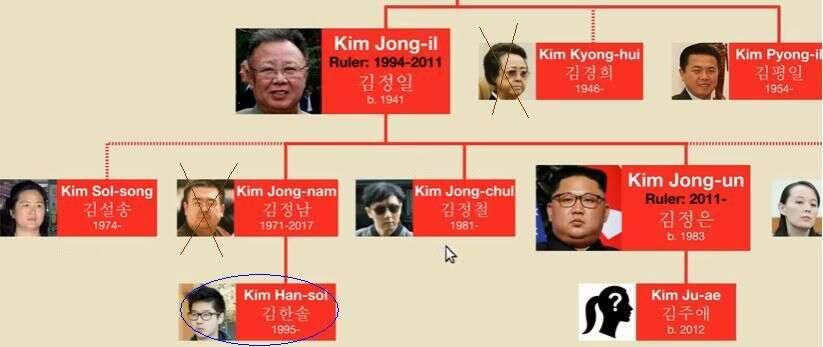 Postavení Kim Han-sola zvýrazněno oválem. Křížkem označené příbuzné nechal Kim Čong-un po uchopení moci zlikvidovat. Repro UsefulCharts, YouTube