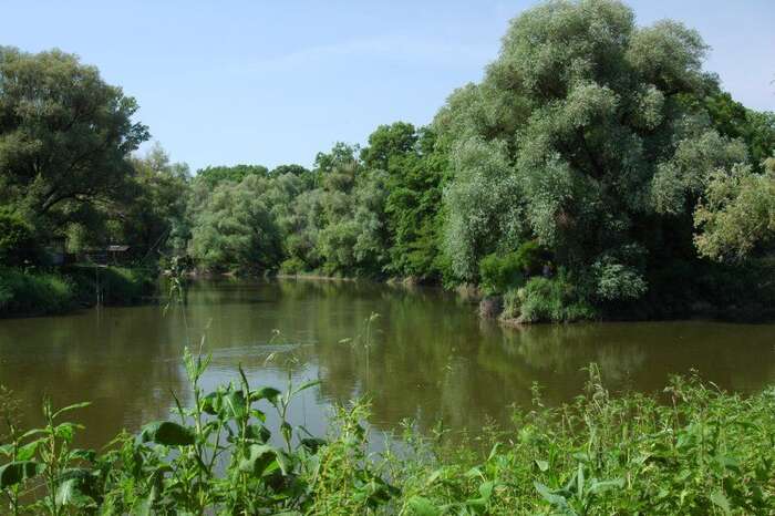 Dávno tu měla být Chráněná krajinná oblast. Foto Stanislav Doronenko, WmC