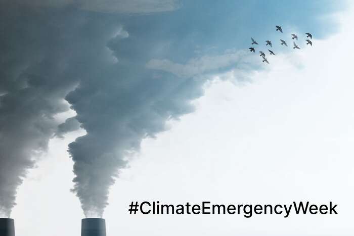 Letos se pravidelný týden intenzivního informování o změnách klimatu až na jedenáct dnů. Potrvá od dneška do čtvrtka 22. dubna, na který připadá Den Země i začátek Bidenova klimatického summitu. Hlavním tématem je život za klimatické nouze. Grafika CCNow