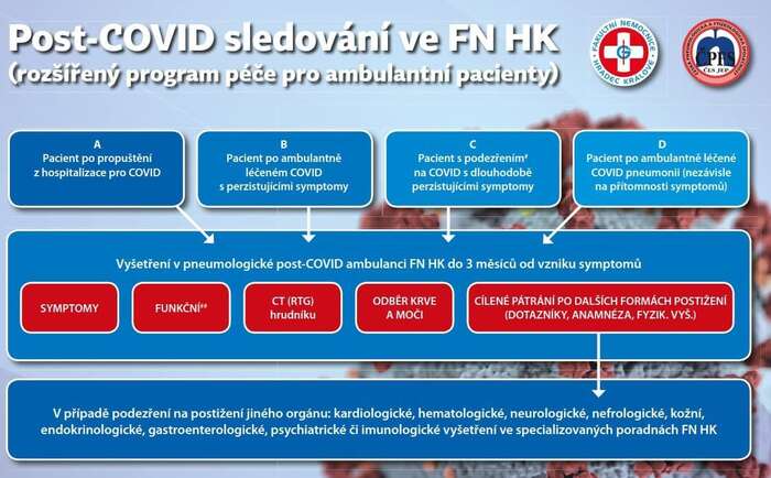 Schéma šetření postcovidového syndromu ve Fakultní nemocnici Hradec Králové. Grafika FN HK